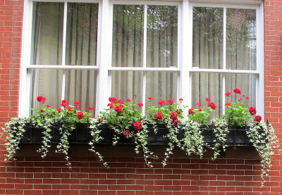 Town House Flower Window Box