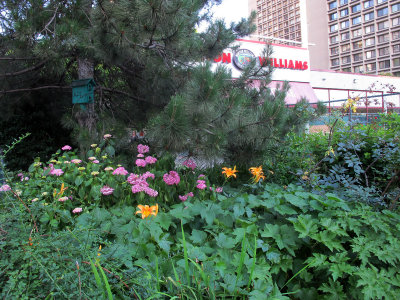 IMG_6420.JPG