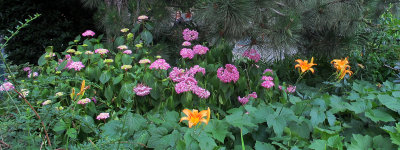 IMG_6420 copy