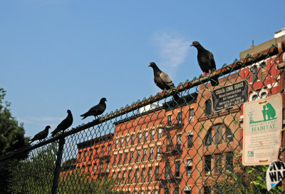 DSC_4342.JPG