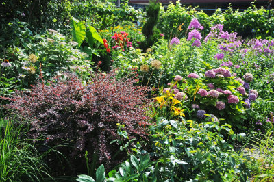 DSC_4345.JPG
