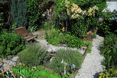 DSC_4347.JPG