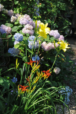 DSC_4355.JPG
