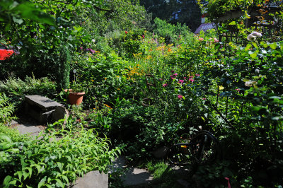 DSC_4358.JPG