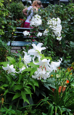 DSC_4469.JPG