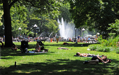 Summer Day