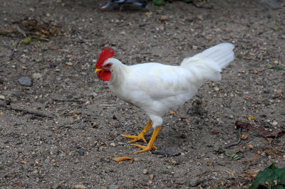 DSC_5610.JPG