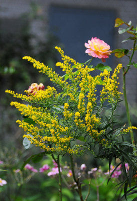 DSC_5632.JPG