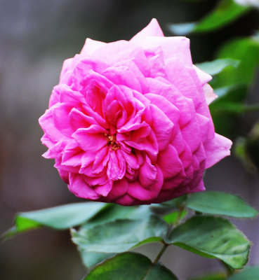 DSC_5634.JPG