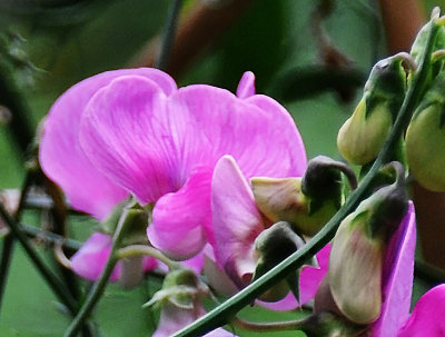 DSC_5635.JPG