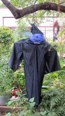 IMG_7365.JPG