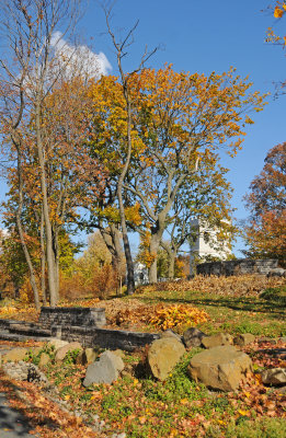 DSC_7087.JPG