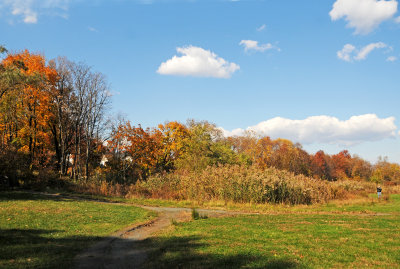 DSC_7096.JPG