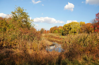 DSC_7097.JPG