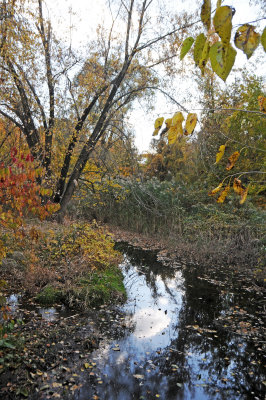 DSC_7098.JPG