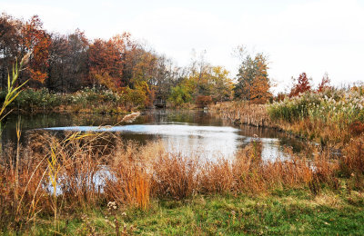 DSC_7105.JPG