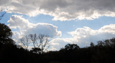 DSC_7107.JPG