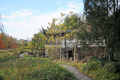 DSC_7183.JPG