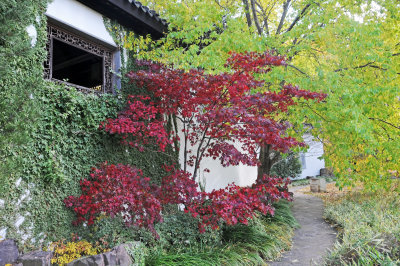 DSC_7184.JPG