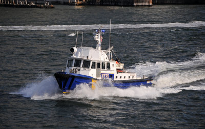 DSC_7231.JPG