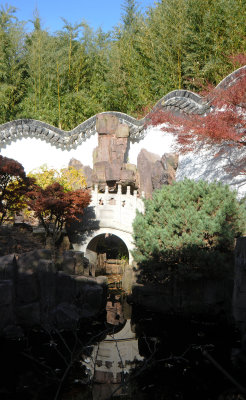 DSC_7298.JPG