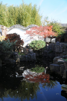 DSC_7301.JPG