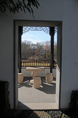 DSC_7302.JPG