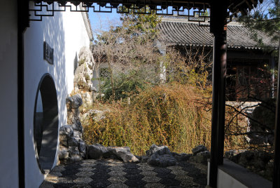 DSC_7306.JPG