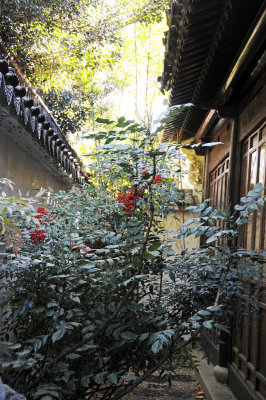 DSC_7315.JPG