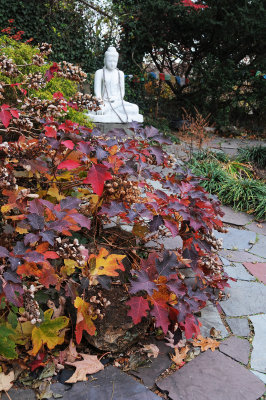 November 21, 2013 Photo Shoot - Staten Island