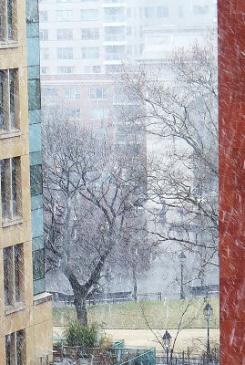 Snow Flurries at Washington Square