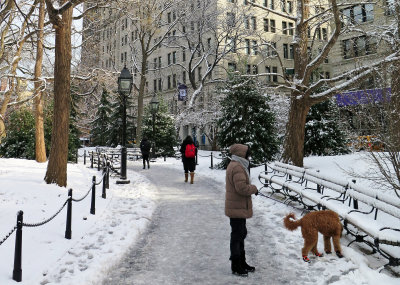 February 4, 2014 Photo Shoot - Snow Scenes Mostly Washington Square Park 