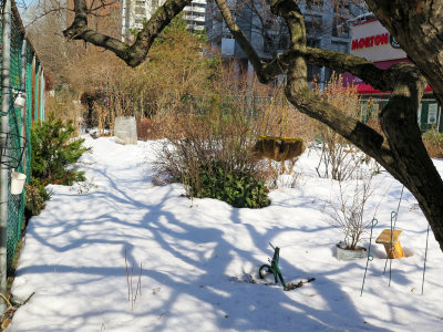 February 20, 2014 Photo Shoot - Mostly LaGuardia Place Corner Community Garden Snow Scenes