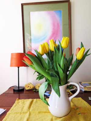 Tulips on the Dining Table