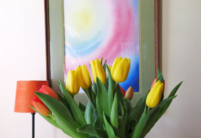 Tulips on the Dining Table 