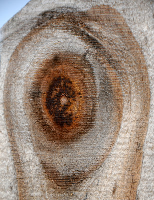 Knot Hole in Yard Wood Fence