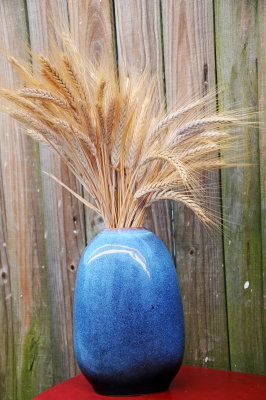 Golden Wheat in a Blue Vase