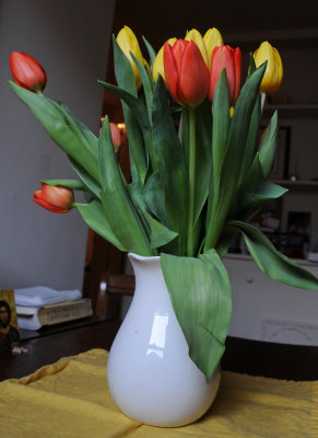 Tulips on the Dining Table