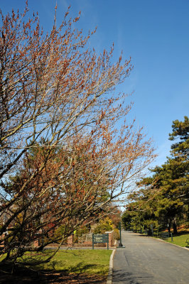 g9/26/411626/3/155074347.milwlnc0.jpg