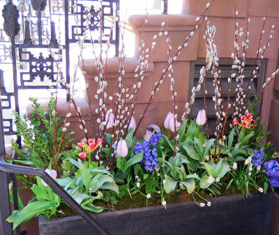 Stoop Spring Flower Window Box Arrangement