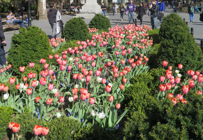 IMG_2766 copy