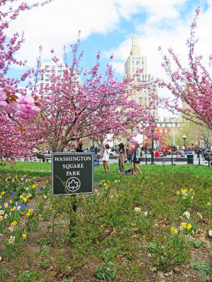 Spring 2014 - Washington Square Park