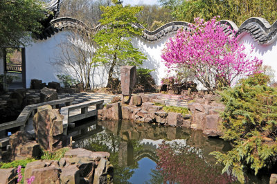 Spring - Staten Island Chinese Scholar Garden