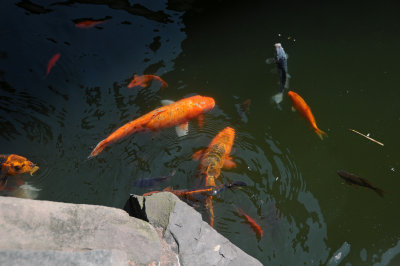 DSC_9224.JPG