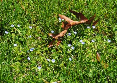 DSC_9226 copy