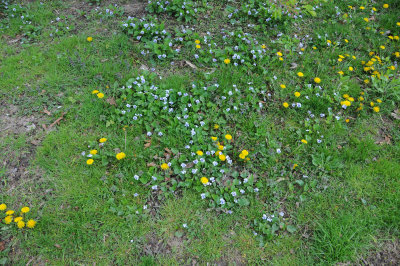 DSC_9229.JPG