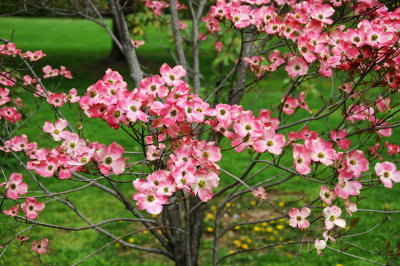 DSC_9282.JPG