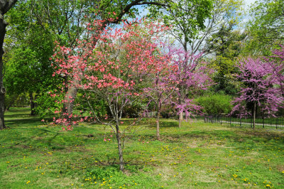 DSC_9283.JPG