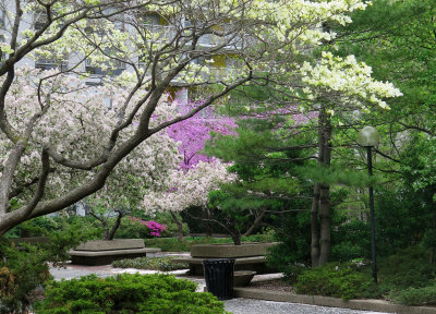 Sasaki Garden