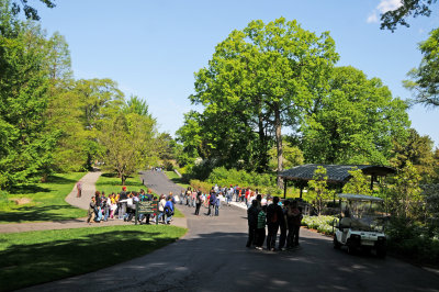 DSC_9786.jpg